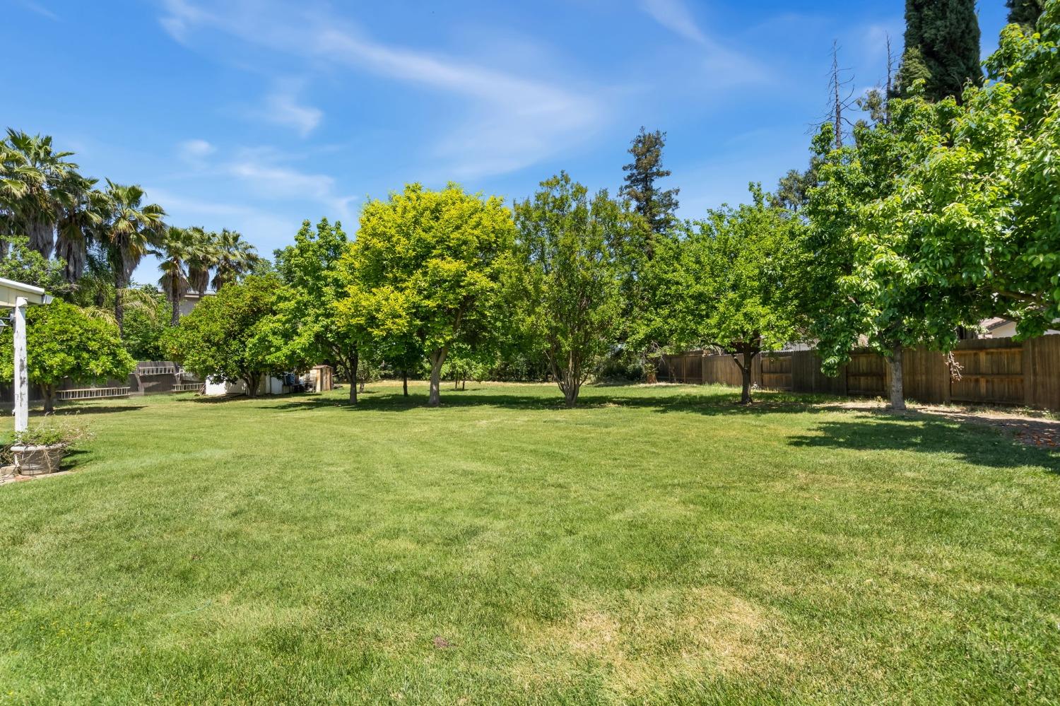 Bettina Way, Sacramento, California image 28