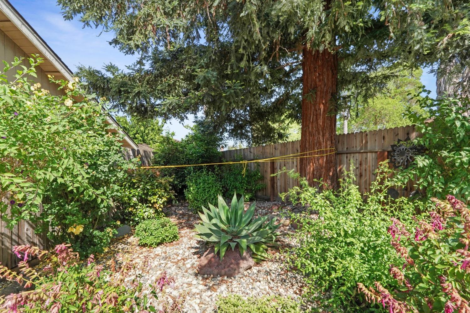 Flowerwood Way, Sacramento, California image 30
