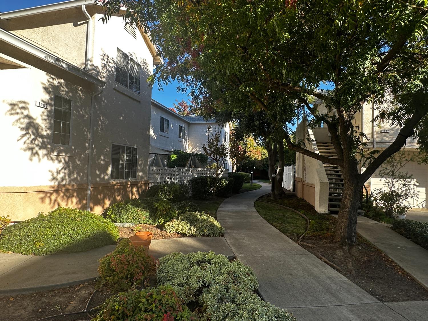 Greene Terrace, Davis, California image 7