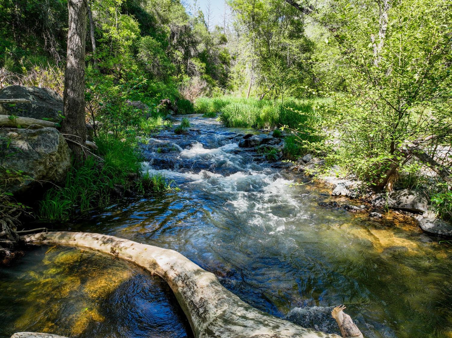 Tom Ray Dr, Grass Valley, California image 33