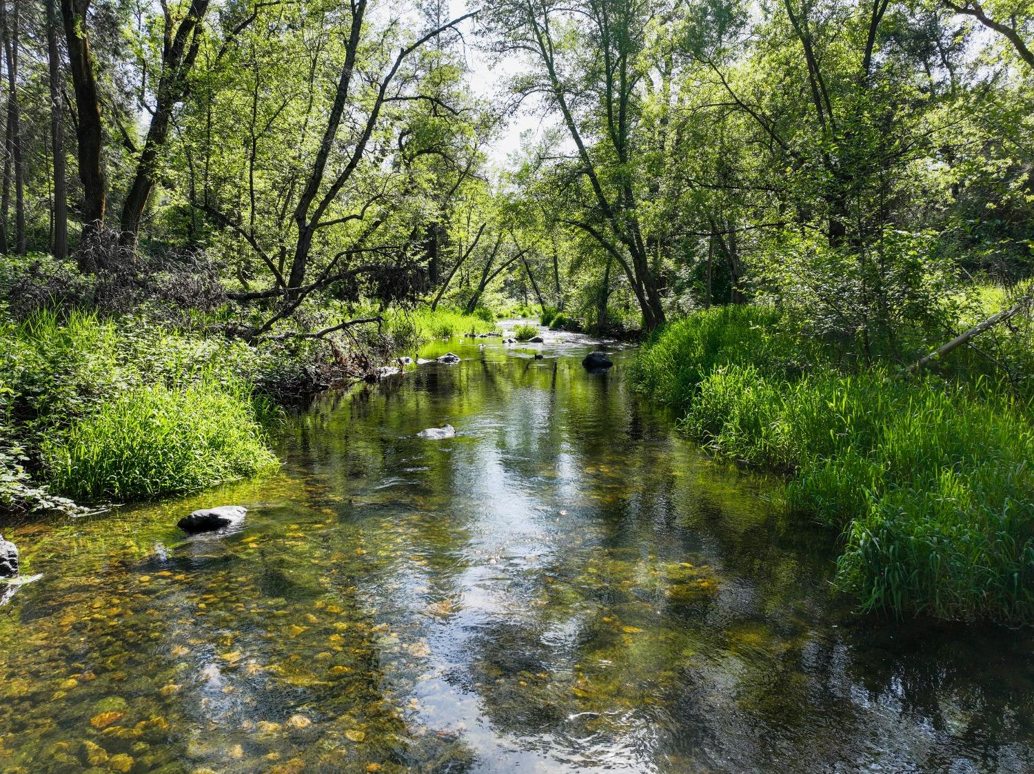 Tom Ray Dr, Grass Valley, California image 38