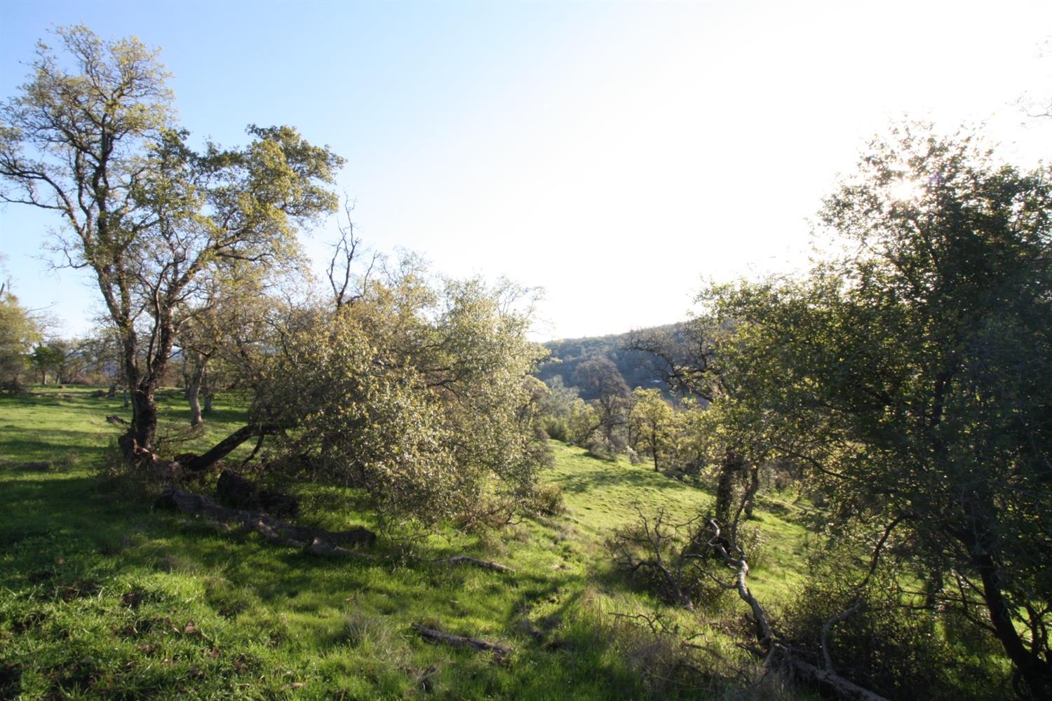 Ranch Dutch Flat Trail, Smartsville, California image 6