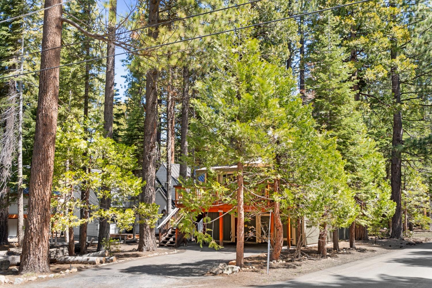 3rd Avenue, Tahoma, California image 3