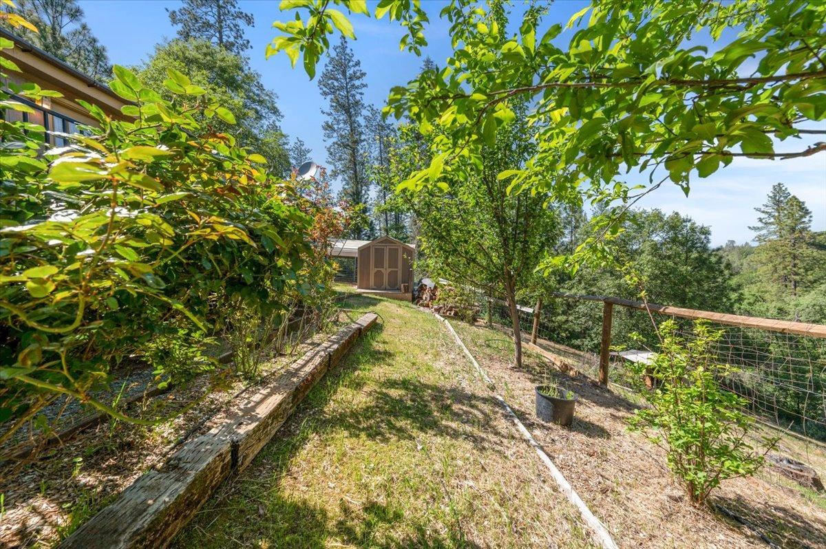 Pekolee Drive, Grass Valley, California image 35