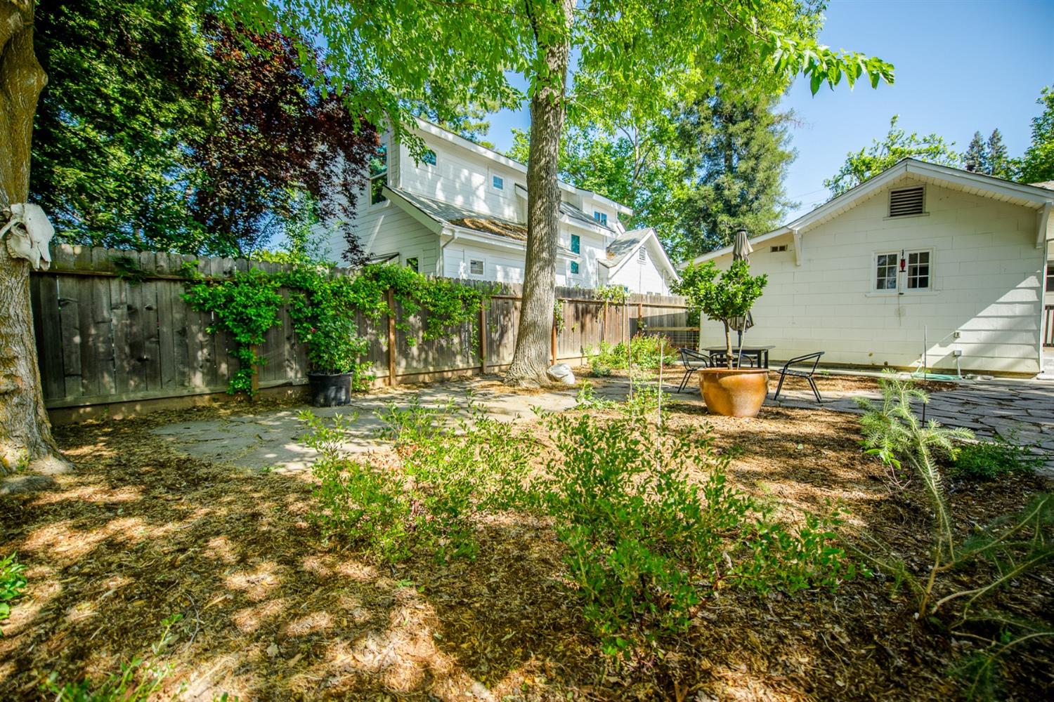Grant Avenue, Winters, California image 33