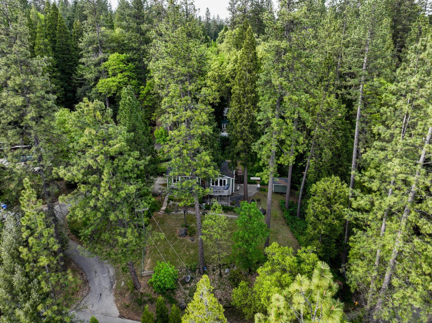 Old Downieville Highway, Nevada City, California image 46