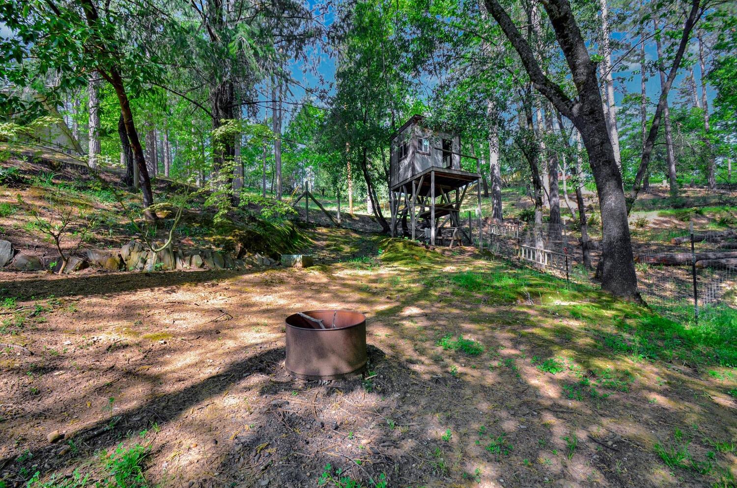 Meadow Road, Sutter Creek, California image 39