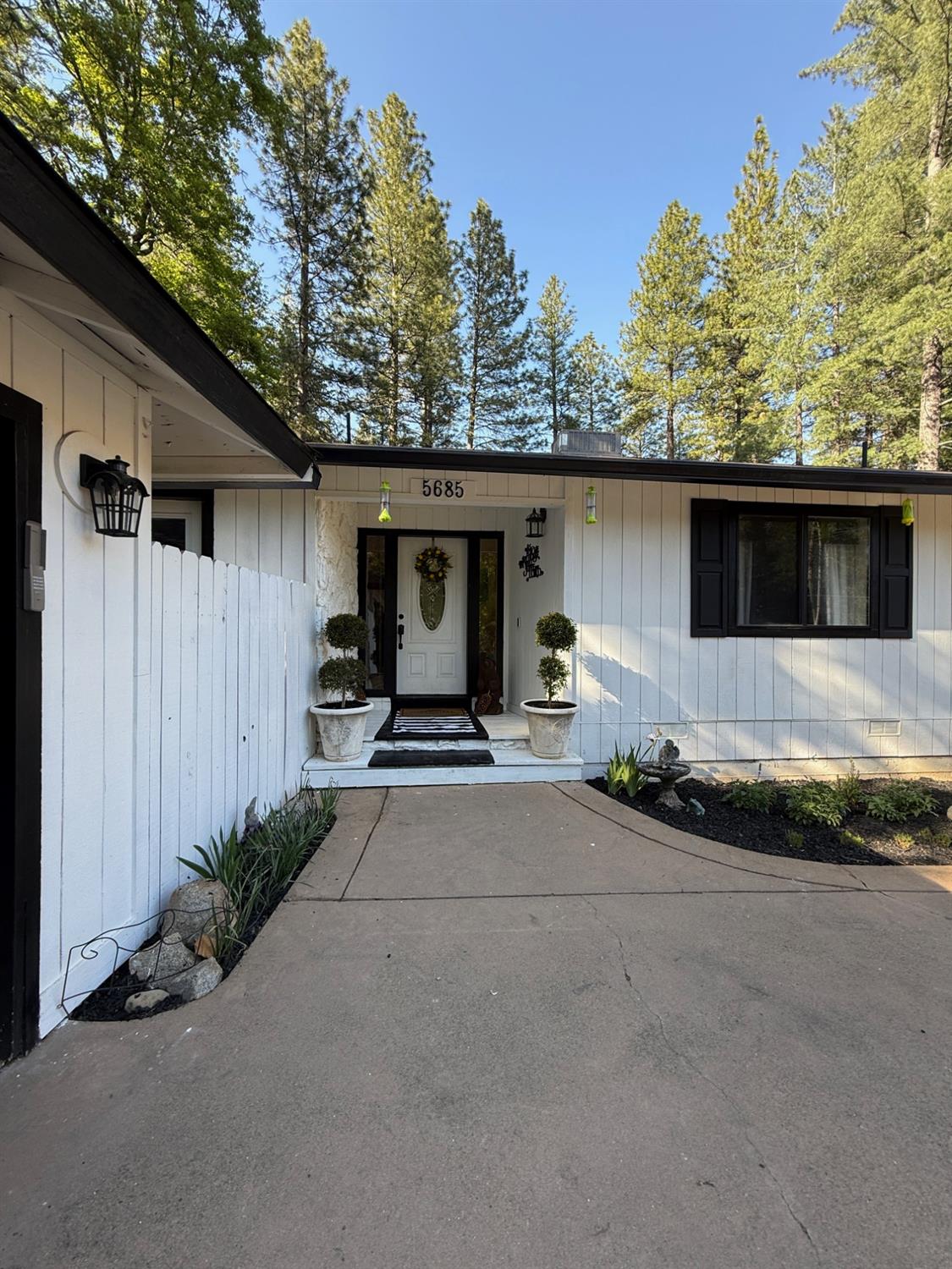 Daisy Circle, Pollock Pines, California image 2