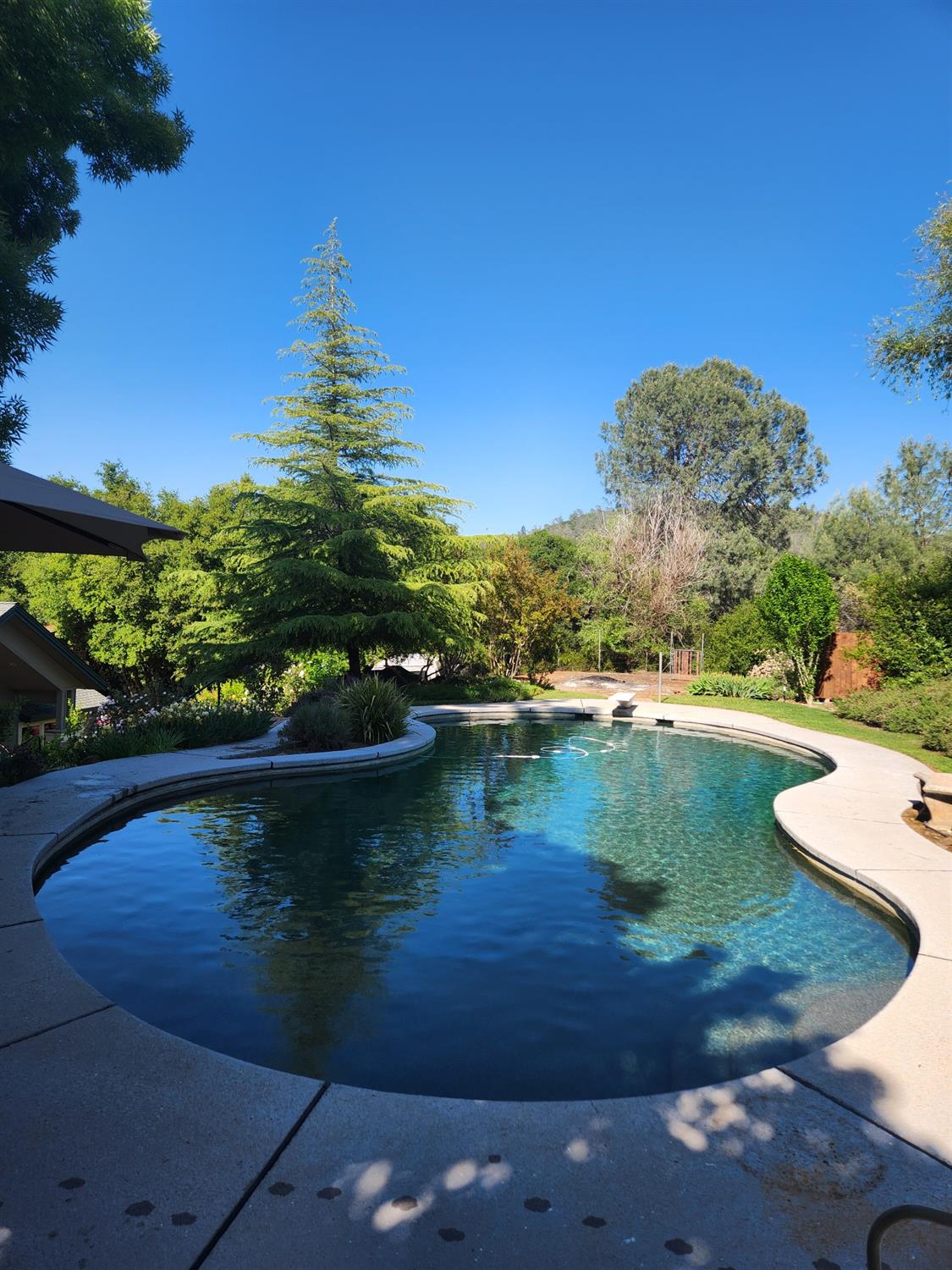 Detail Gallery Image 56 of 86 For 2401 Sanford Dr, Rescue,  CA 95672 - 4 Beds | 3 Baths
