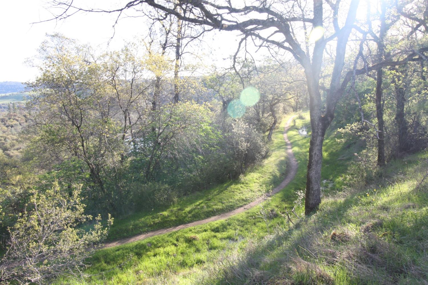 Ranch Dutch Flat Trail, Smartsville, California image 12