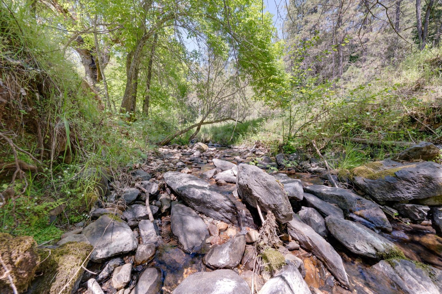 Laurel Canyon Road, Sutter Creek, California image 37