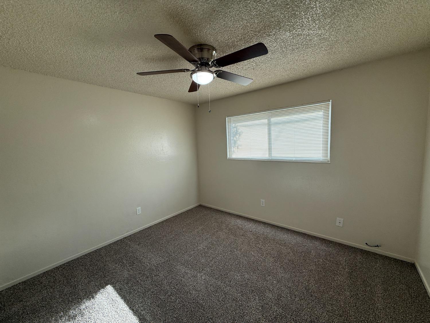 Yvonne Avenue, Manteca, California image 10