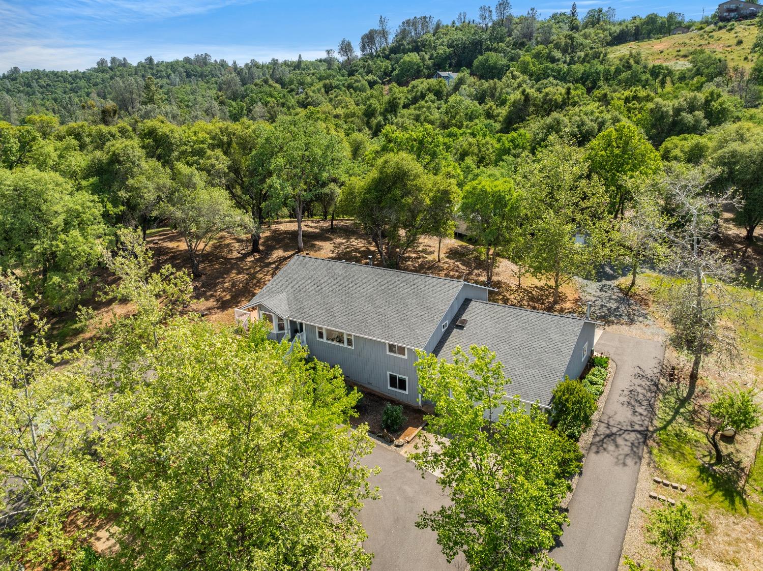 Studebaker Road, Placerville, California image 6