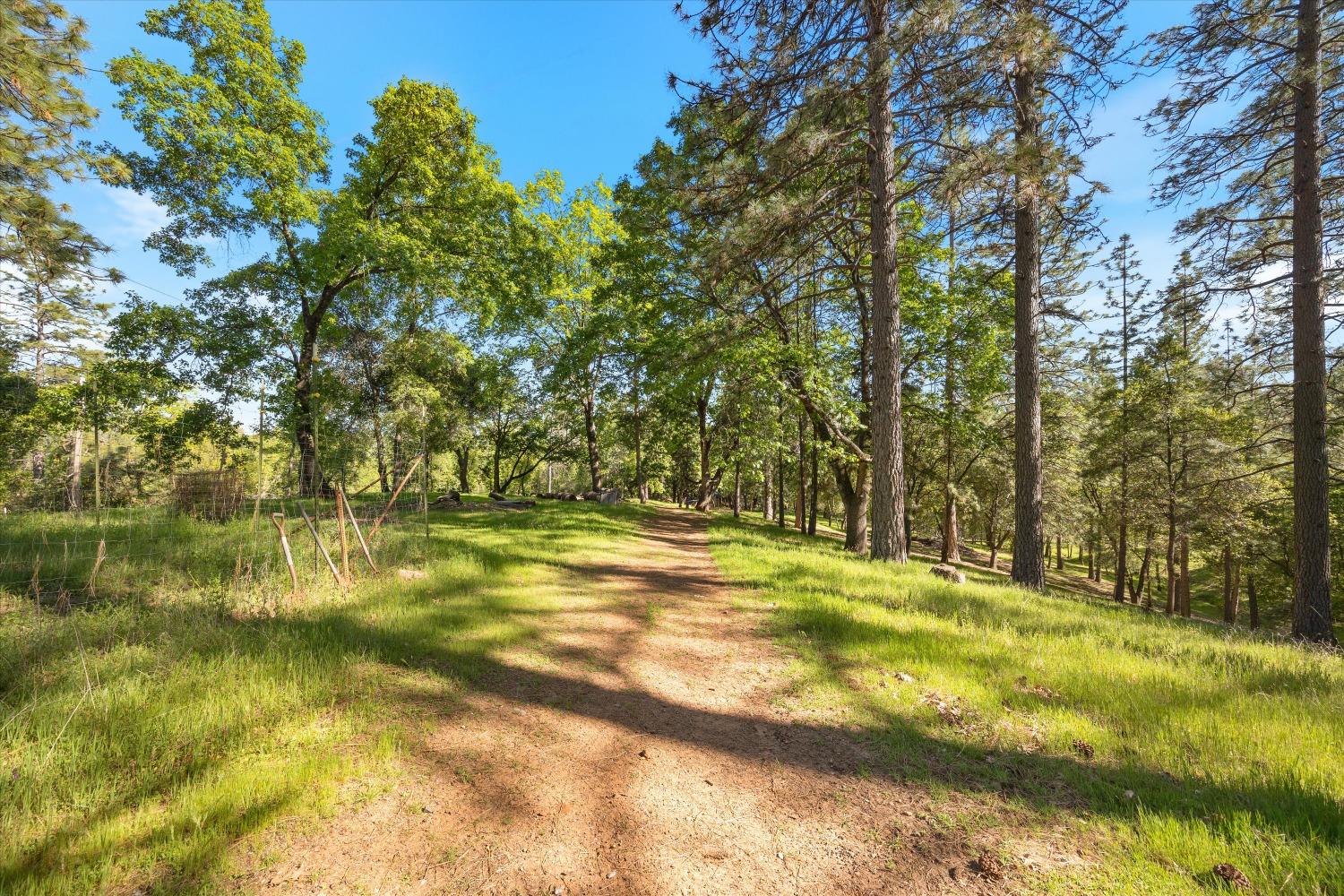 Kruk Trail, Placerville, California image 47