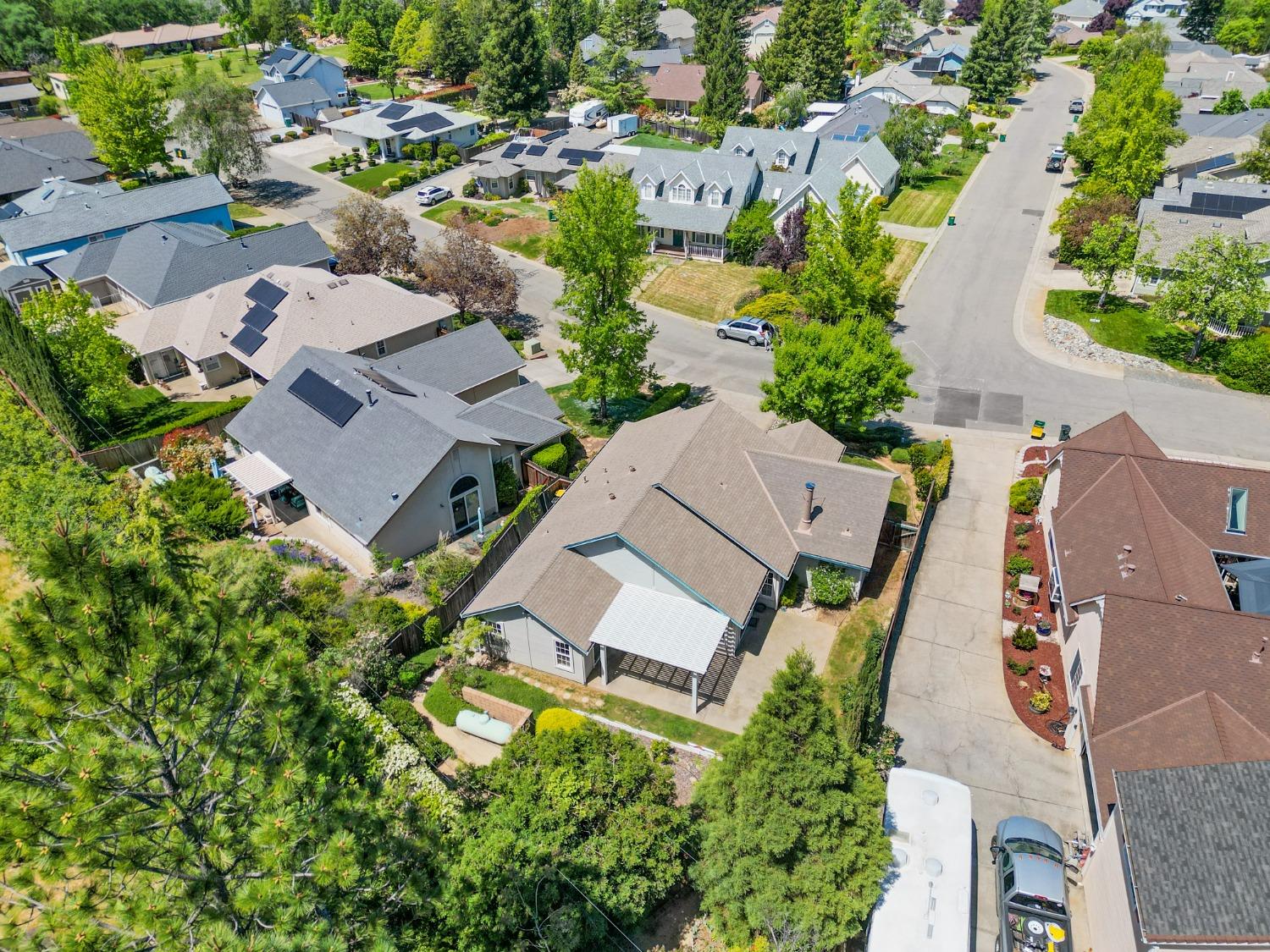 Carla Drive, Placerville, California image 47