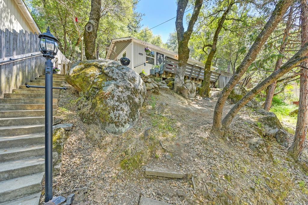 Pigeon Trail, River Pines, California image 4