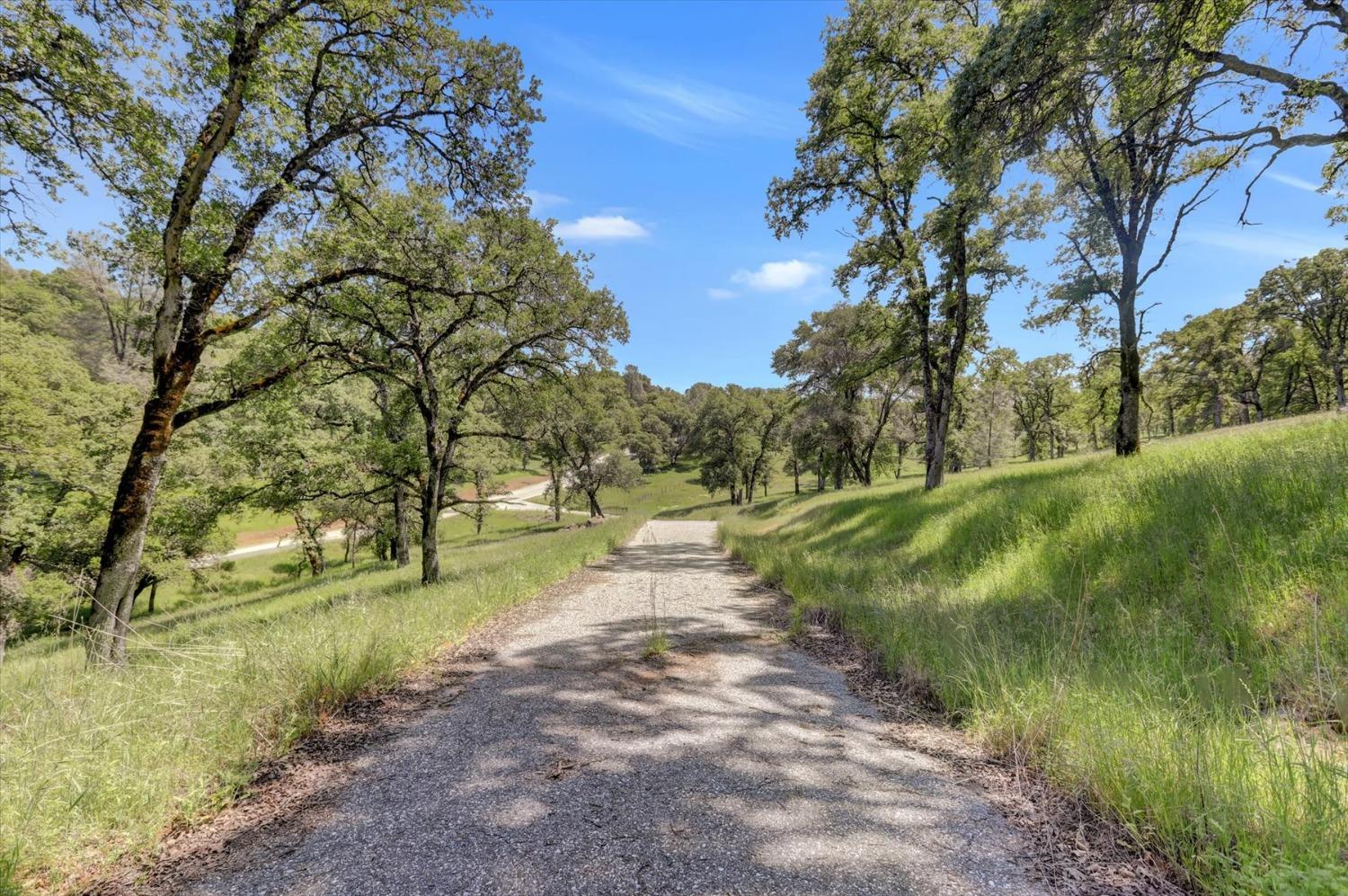 Retherford Road, Grass Valley, California image 35
