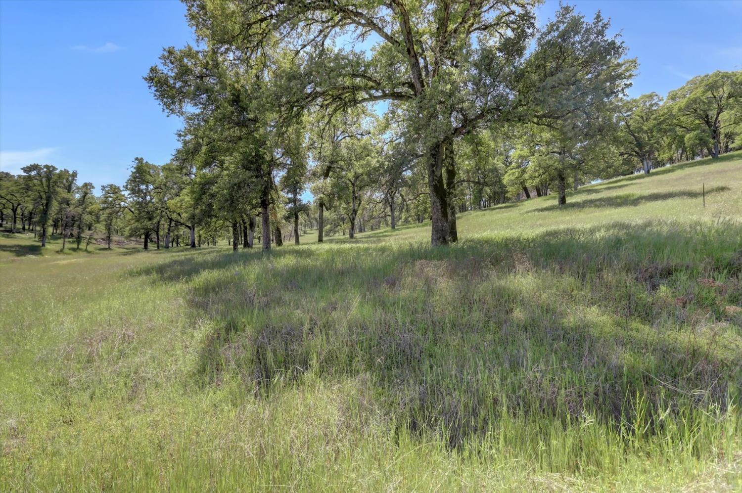 Retherford Road, Grass Valley, California image 27