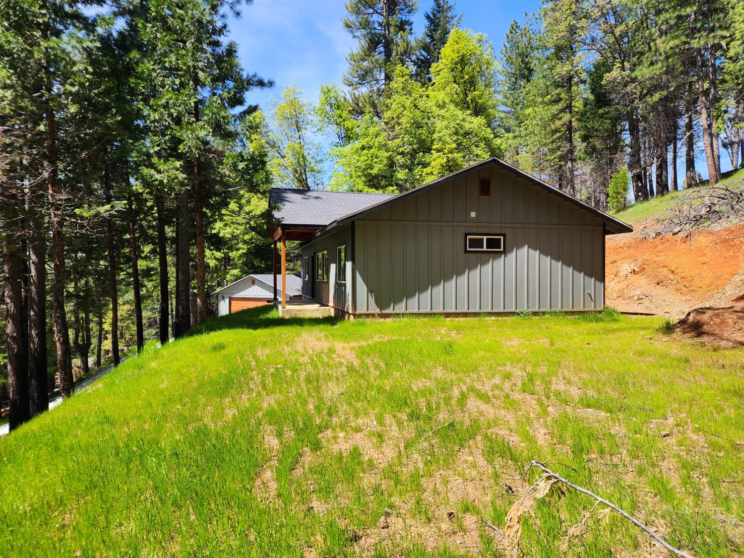 Woodhaven Court, Grizzly Flats, California image 18