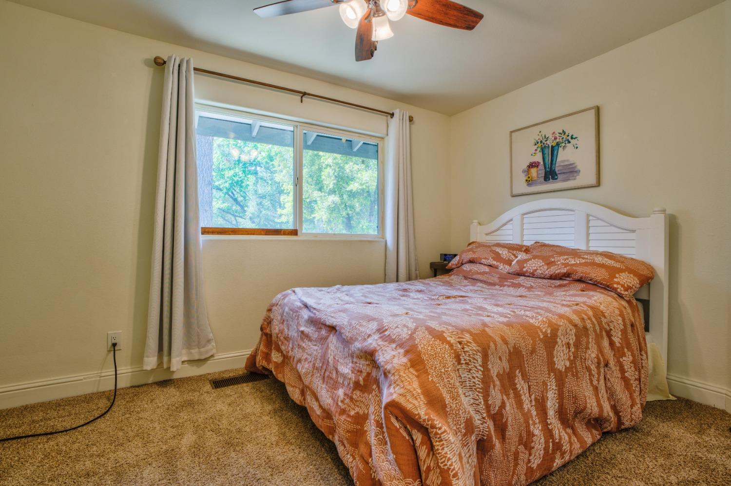 Birchwood Drive, Foresthill, California image 15