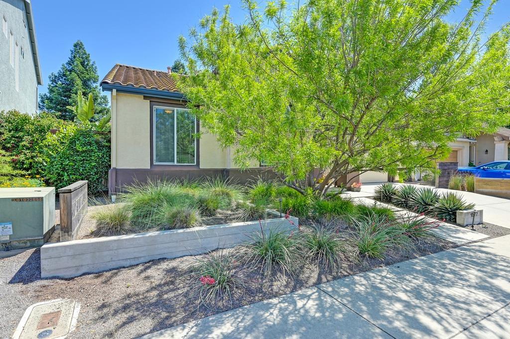 Detail Gallery Image 57 of 57 For 9577 Arcada Ct, Elk Grove,  CA 95624 - 3 Beds | 2 Baths
