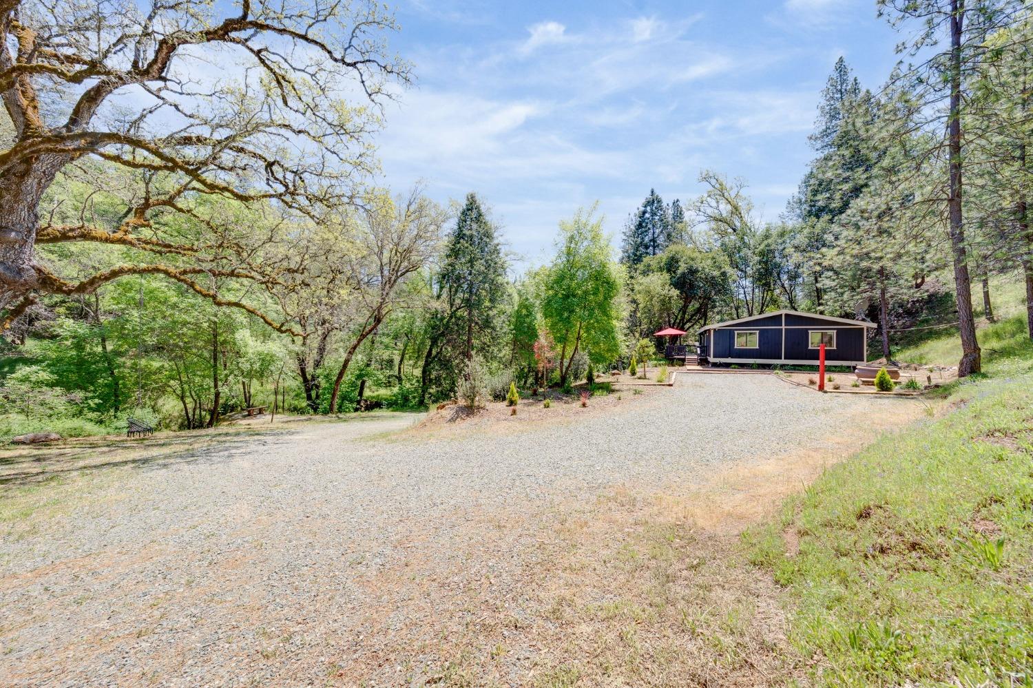 Laurel Canyon Road, Sutter Creek, California image 2