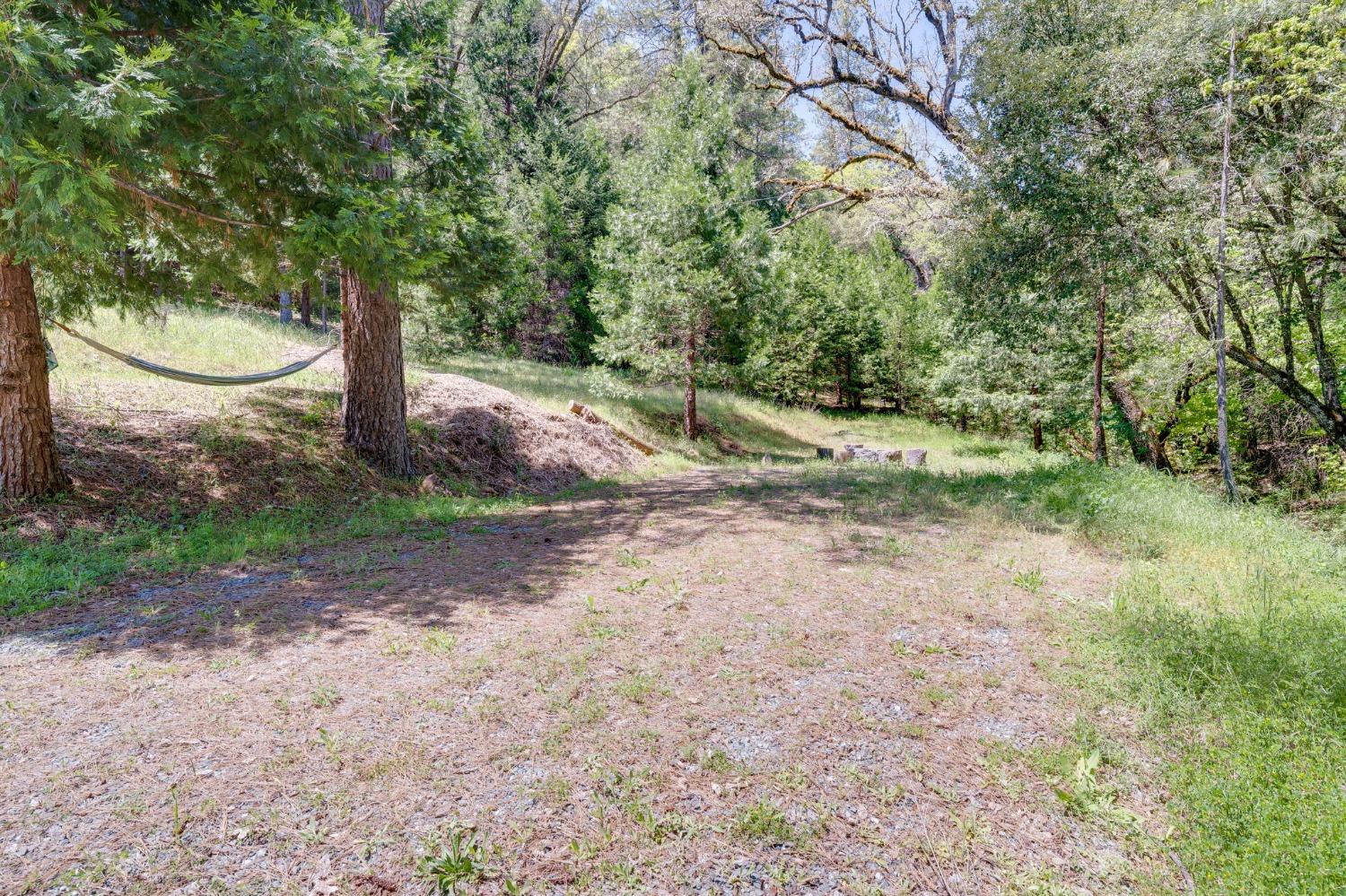Laurel Canyon Road, Sutter Creek, California image 38