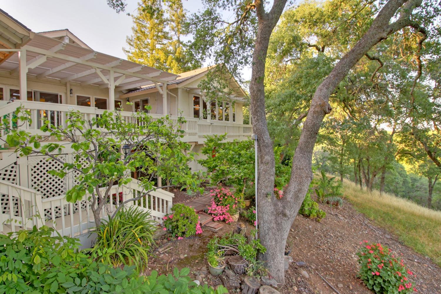 River Ridge Court, Folsom, California image 49