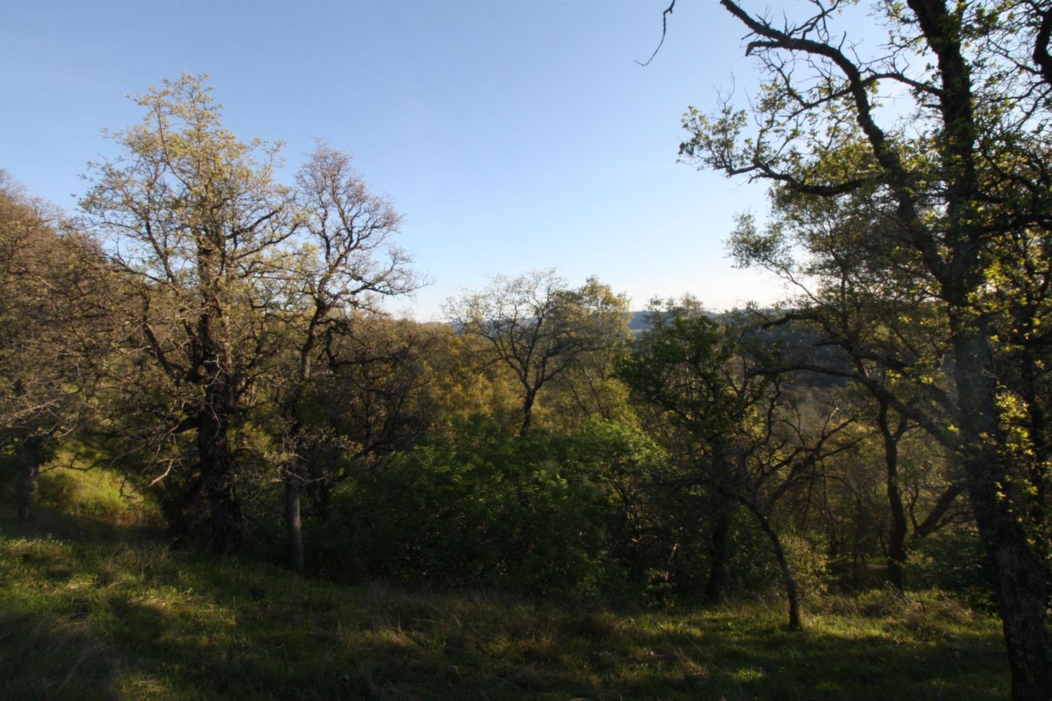 4 Ranch Dutch Flat Trail, Smartsville, California image 9
