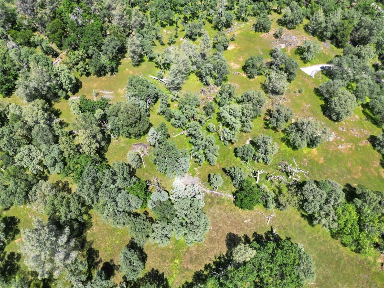 Retherford Road, Grass Valley, California image 24