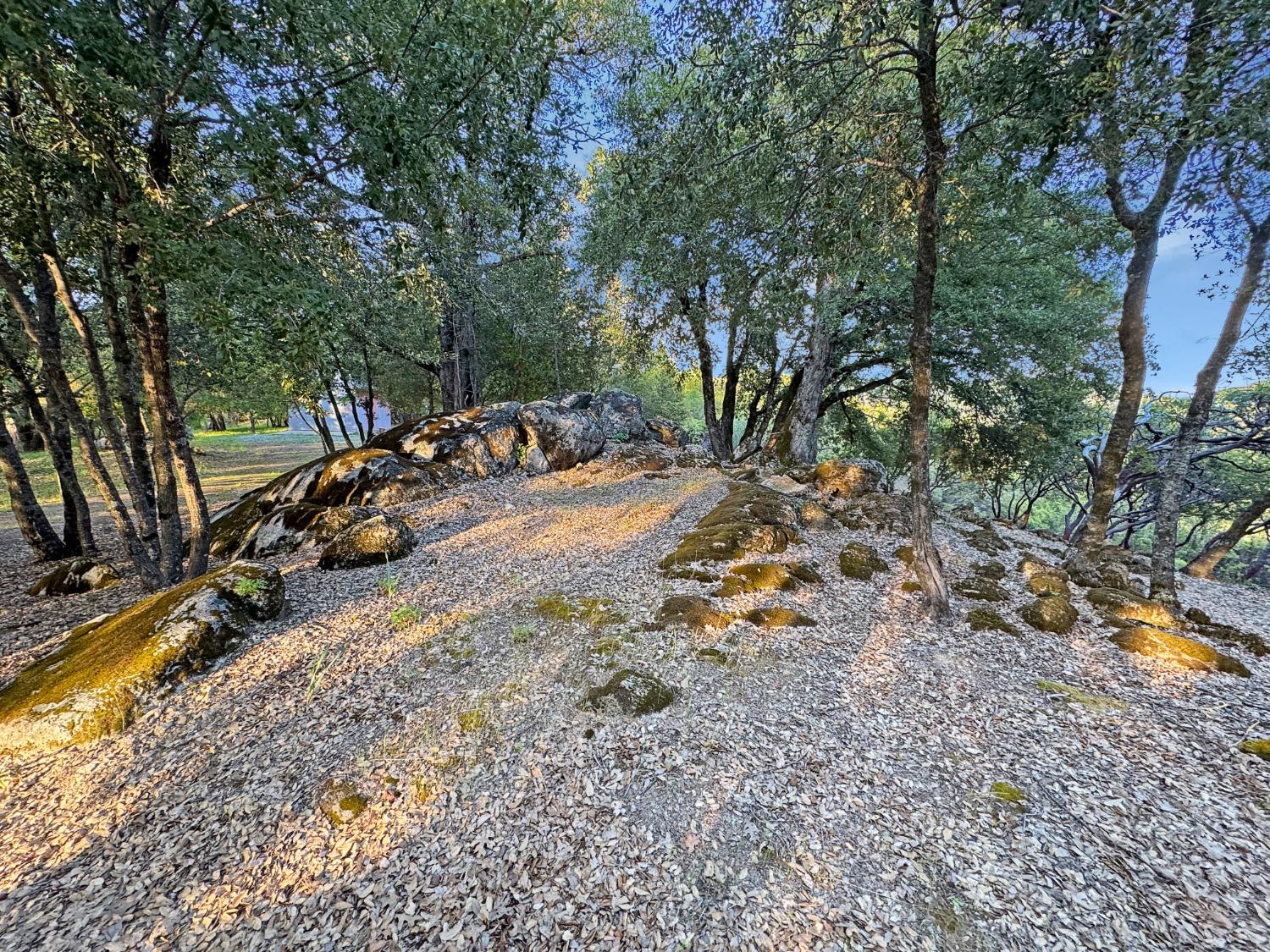 Birchville Road, Nevada City, California image 27