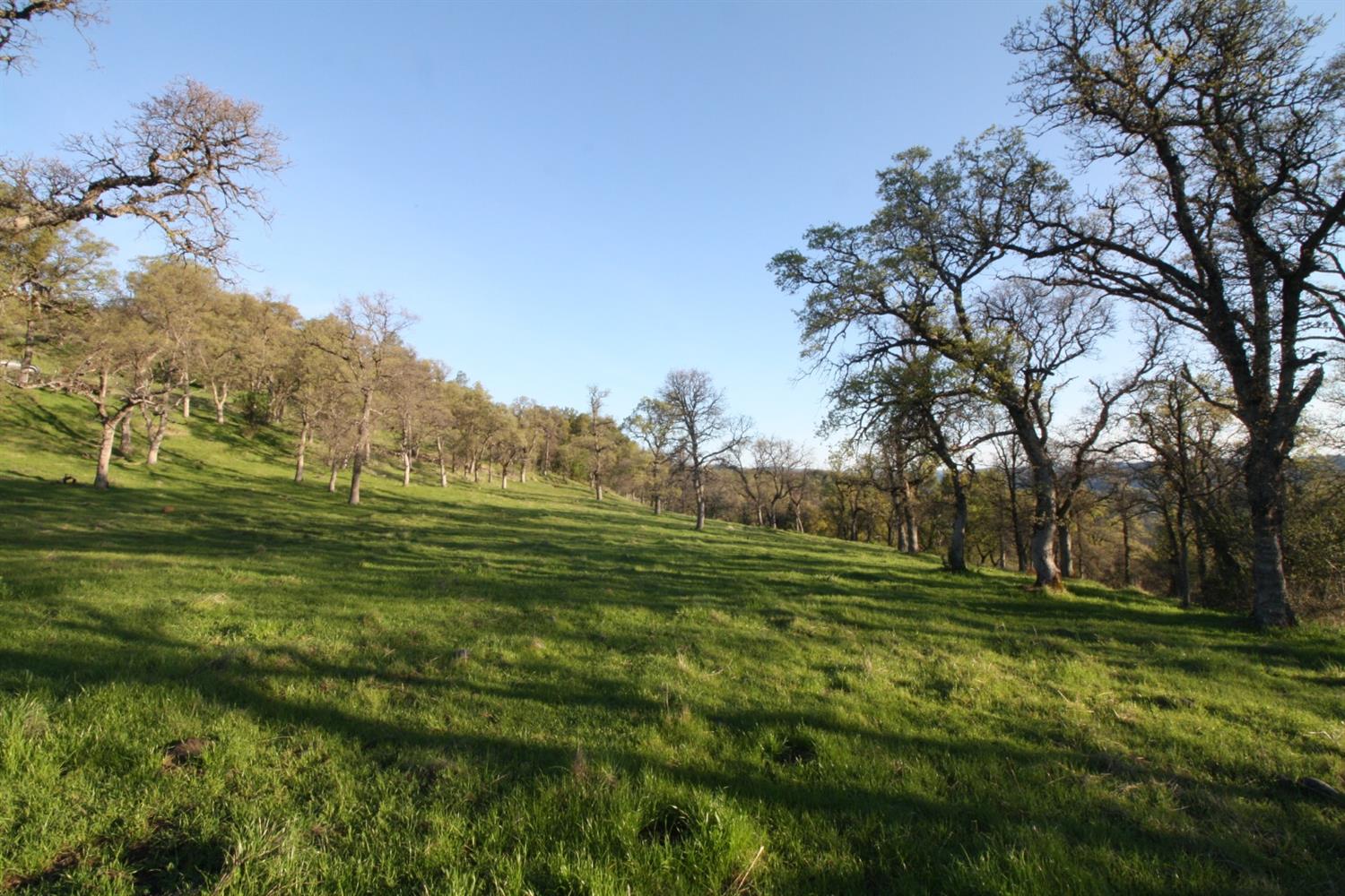 4 Ranch Dutch Flat Trail, Smartsville, California image 7