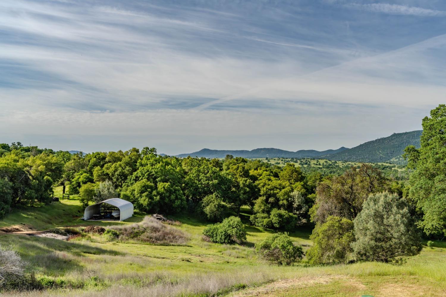 Detail Gallery Image 65 of 88 For 2800 Willow Creek Rd, San Andreas,  CA 95249 - 3 Beds | 2/1 Baths