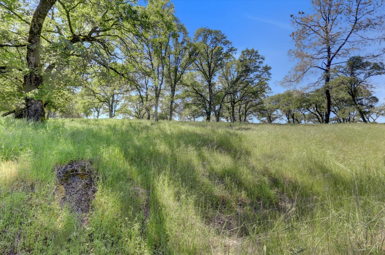Retherford Road, Grass Valley, California image 38