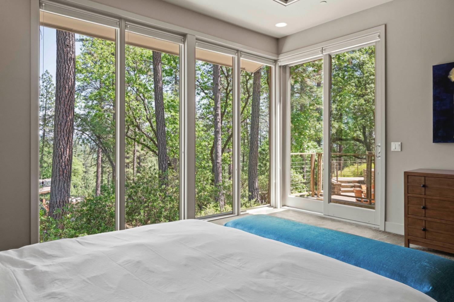 Detail Gallery Image 45 of 87 For 15090 Grand Knoll Dr, Meadow Vista,  CA 95722 - 4 Beds | 4/1 Baths