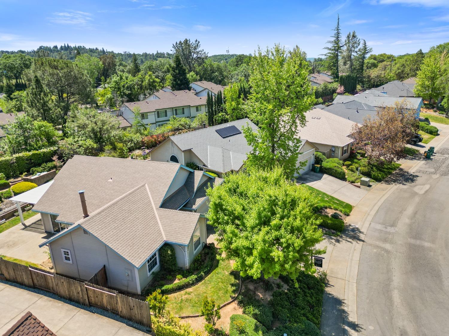 Carla Drive, Placerville, California image 39