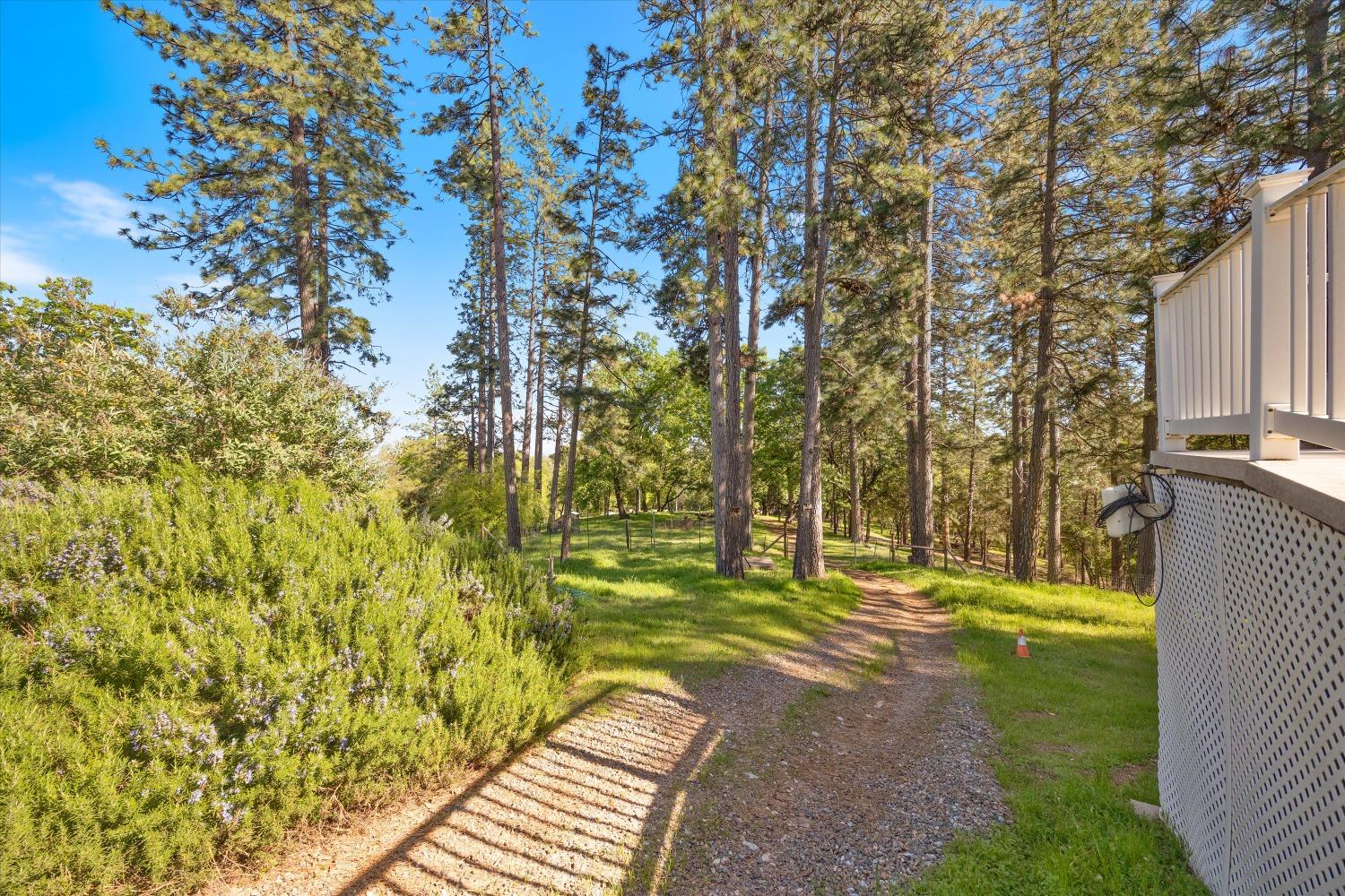 Kruk Trail, Placerville, California image 43