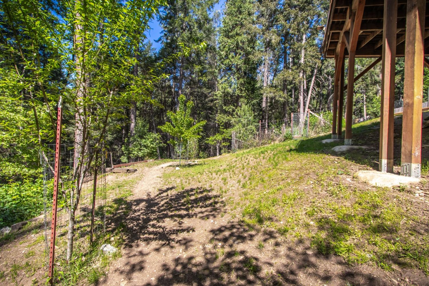 Detail Gallery Image 35 of 44 For 6360 Red Robin Rd, Placerville,  CA 95667 - 4 Beds | 2 Baths