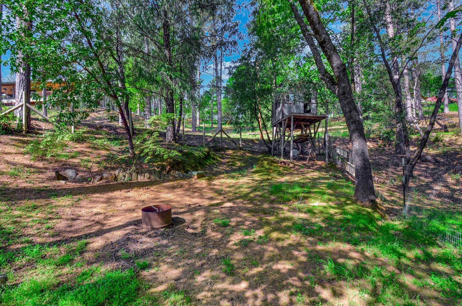 Meadow Road, Sutter Creek, California image 38