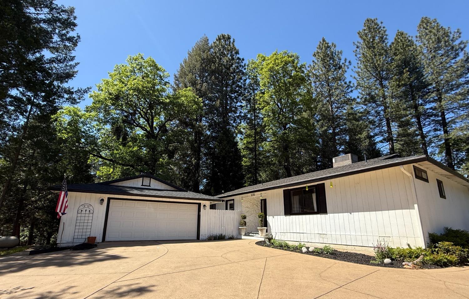 Daisy Circle, Pollock Pines, California image 1