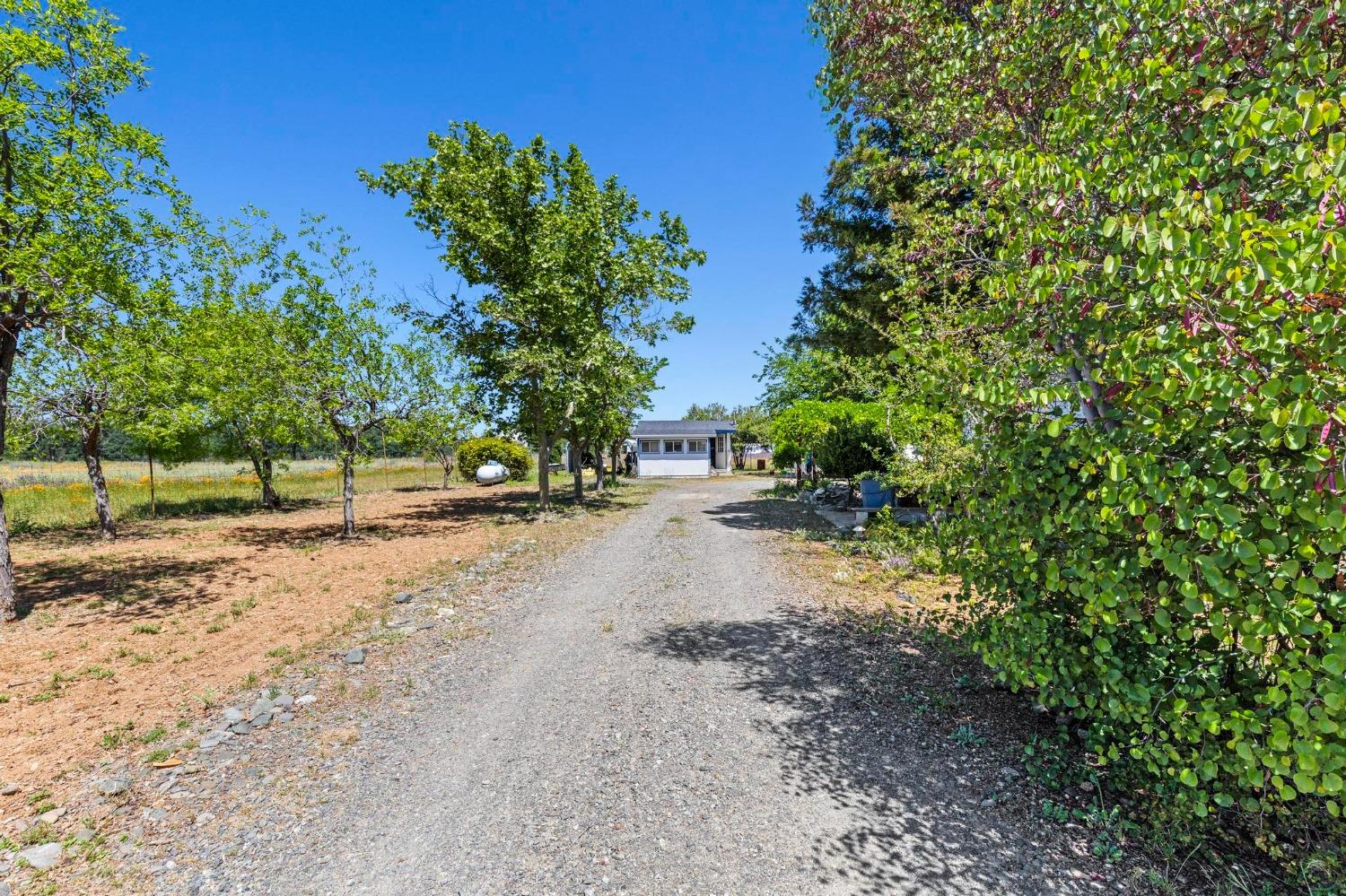 Lodoga Stonyford Road, Stonyford, California image 3