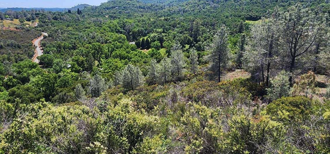 Detail Gallery Image 18 of 28 For 5 Jurgens Rd, Rescue,  CA 95672 - – Beds | – Baths