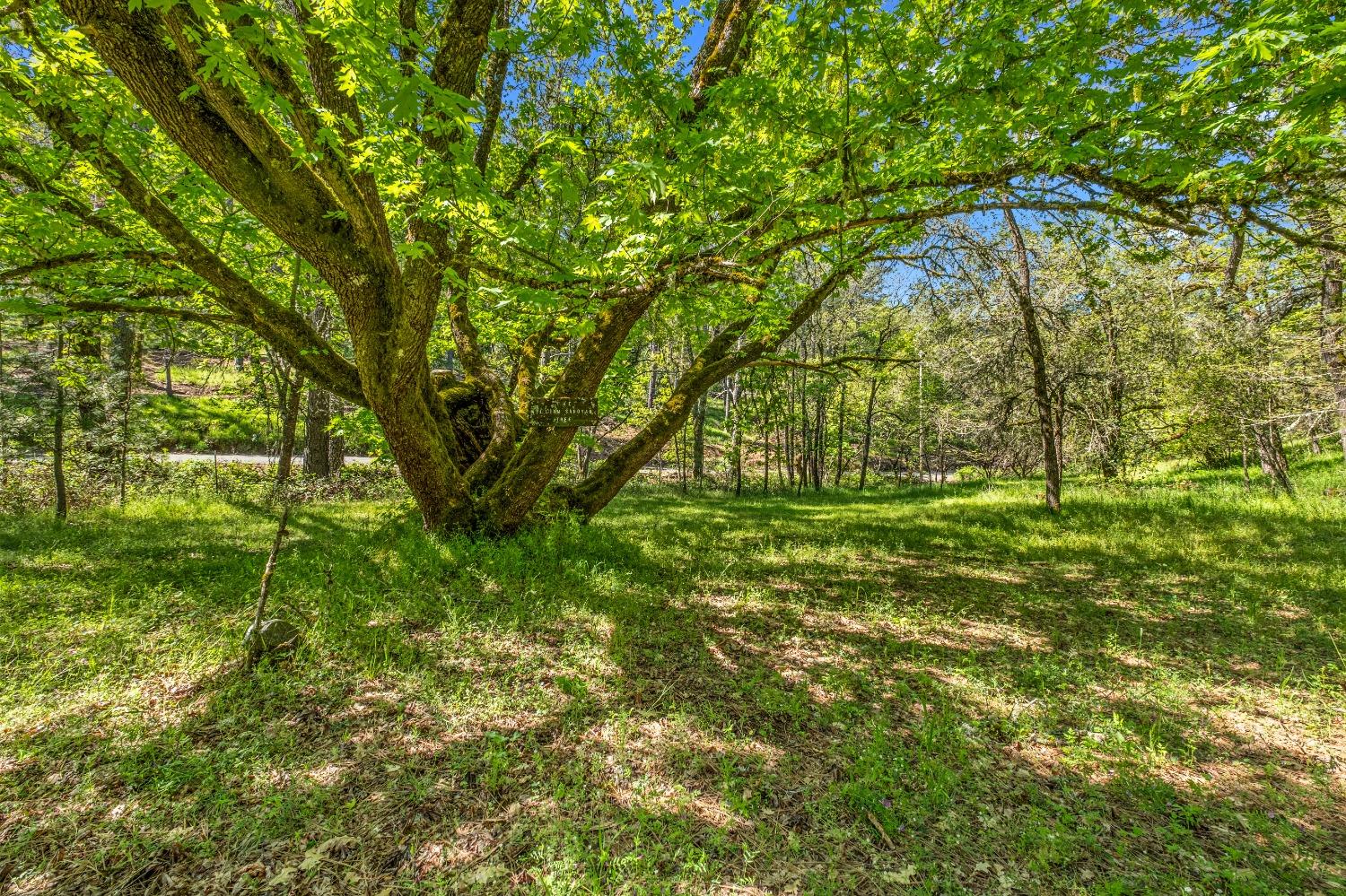 Detail Gallery Image 67 of 79 For 16080 Mount Whitney Dr, Fiddletown,  CA 95629 - 3 Beds | 2 Baths