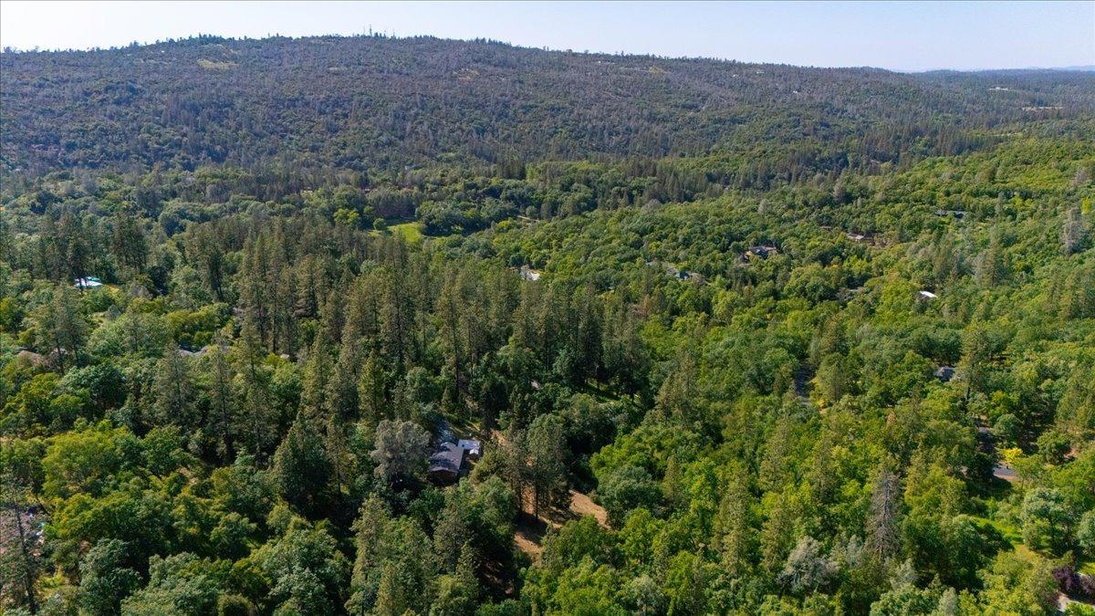 Pekolee Drive, Grass Valley, California image 45
