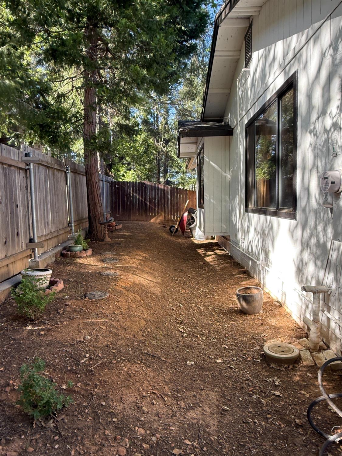 Daisy Circle, Pollock Pines, California image 28