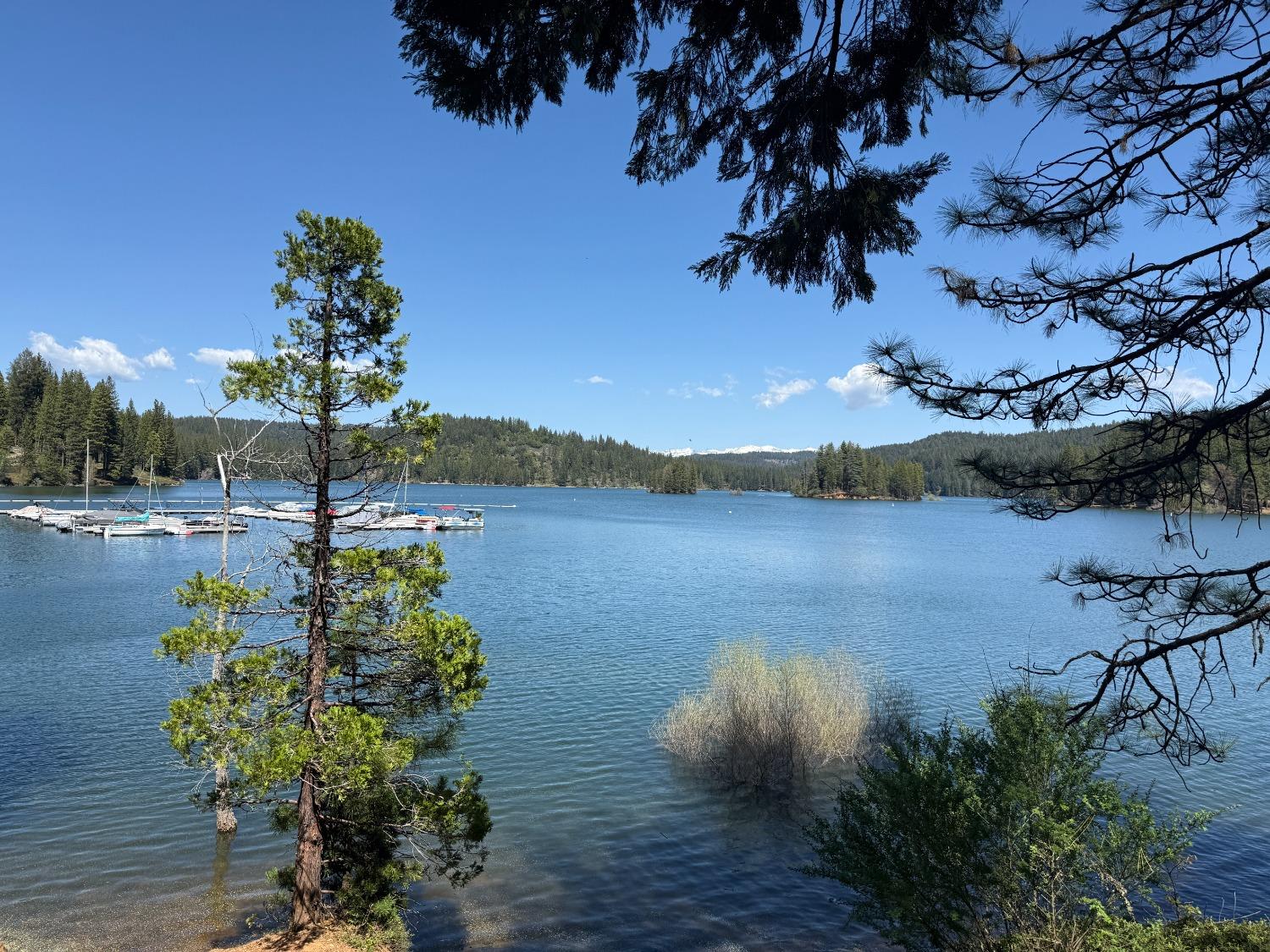 Daisy Circle, Pollock Pines, California image 29