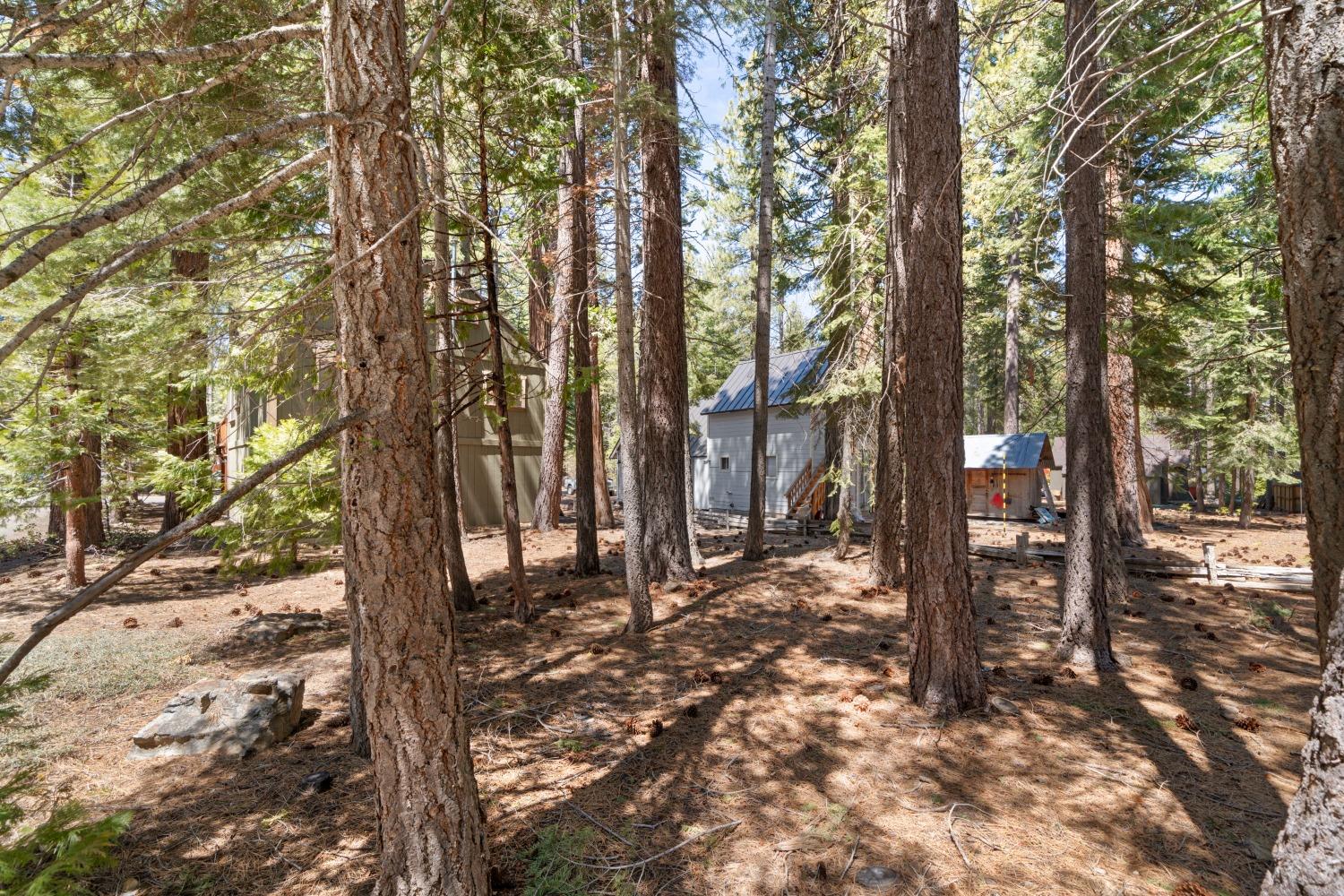 3rd Avenue, Tahoma, California image 5