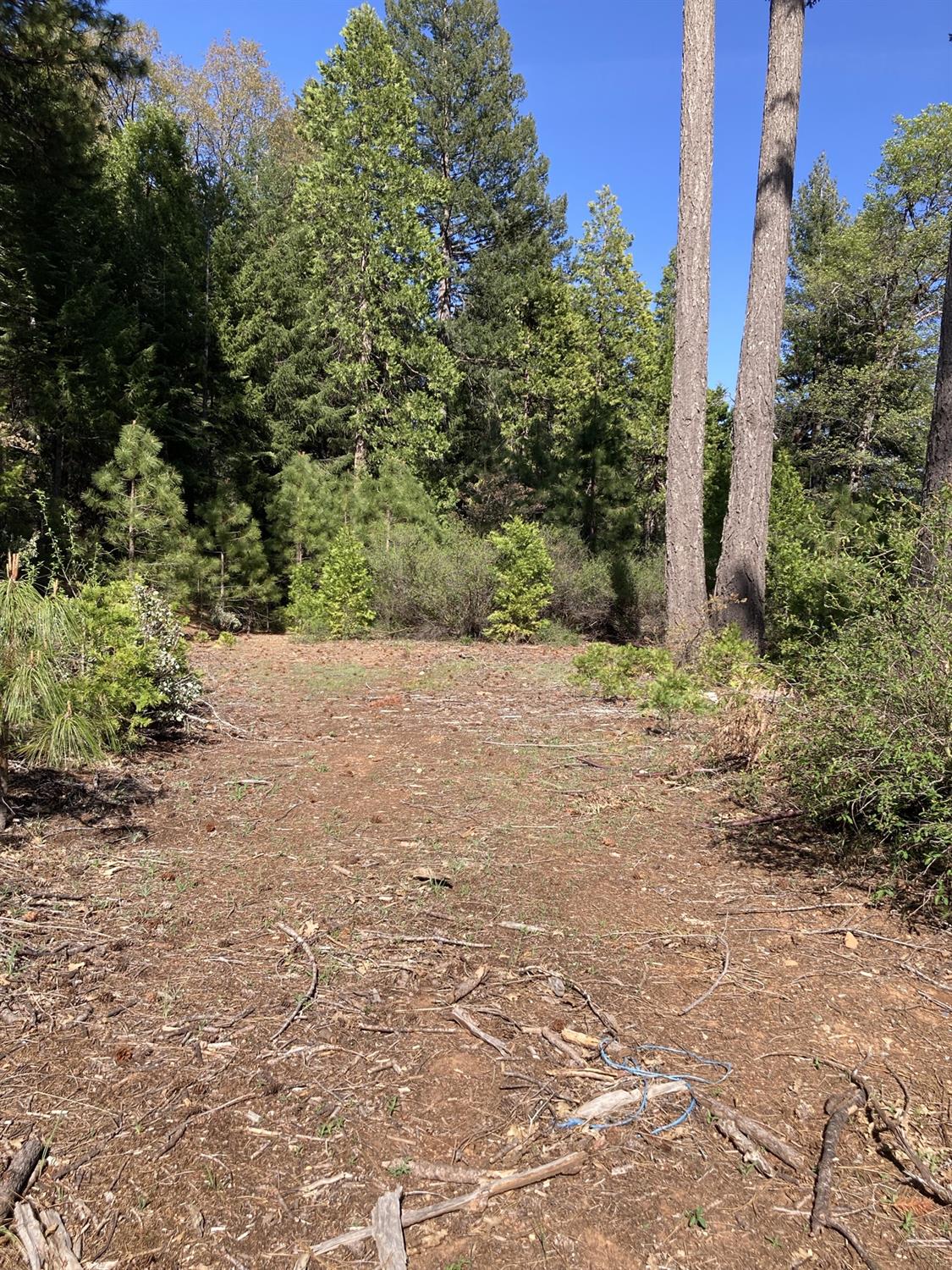 Sugar Pine Road, Alta, California image 1