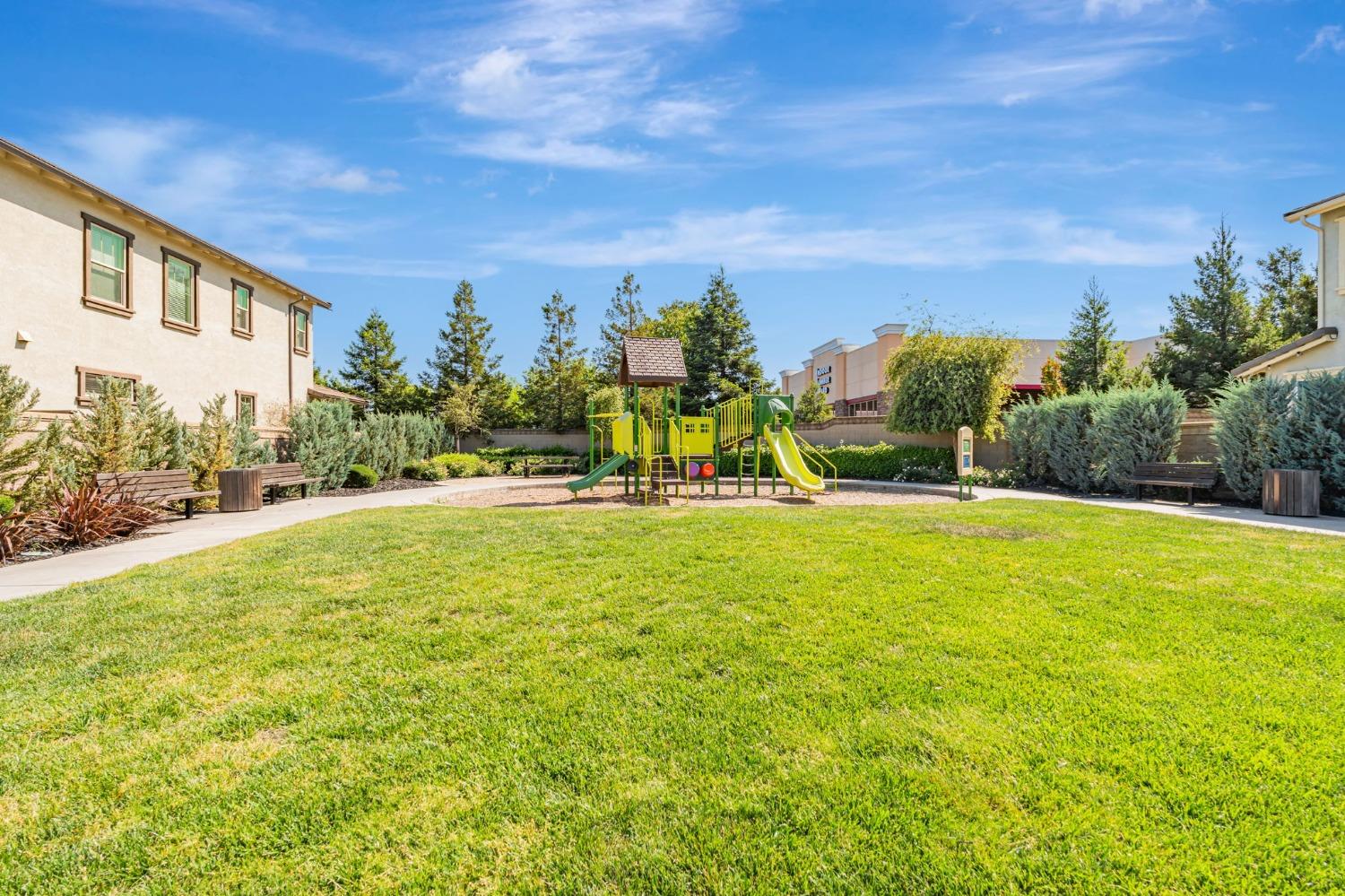 Chardonnay Lane, Lodi, California image 29