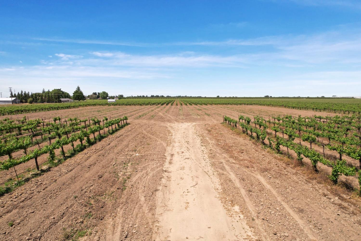 Devries, Lodi, California image 3